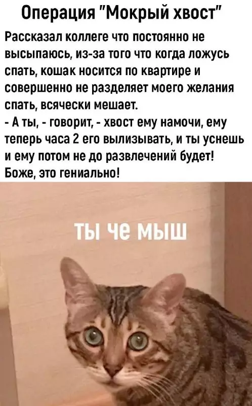 Смешная картинка №705122
