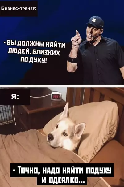 Смешная картинка №524747