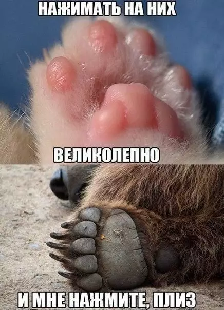 Смешная картинка №430804