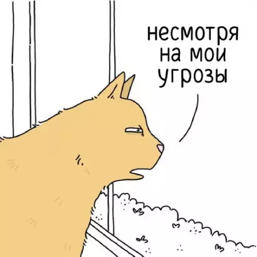 продолжение Смешная картинка №757779 Коты