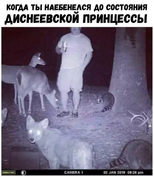 Смешная картинка №325202