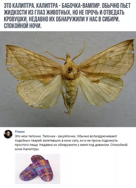 Смешная картинка №307834