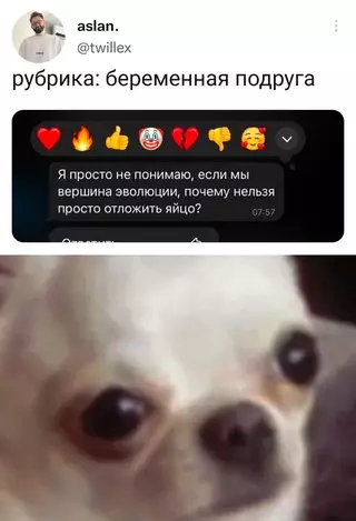 Смешная картинка №668527