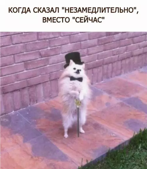 Смешная картинка №286846