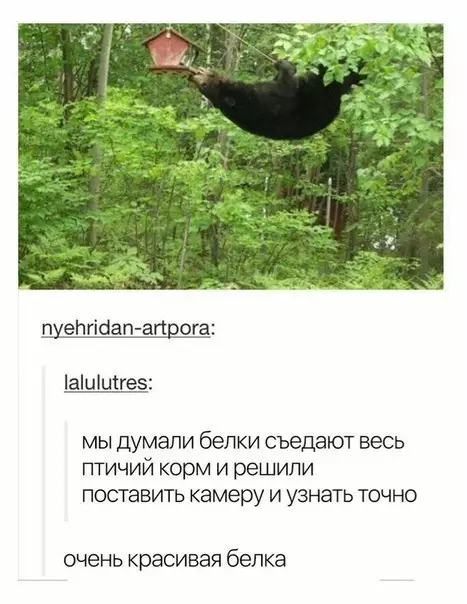 Смешная картинка №275395