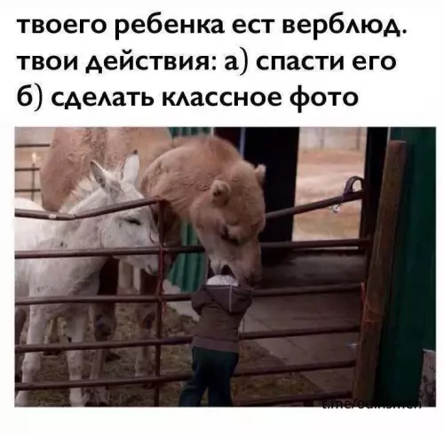 Смешная картинка №672943