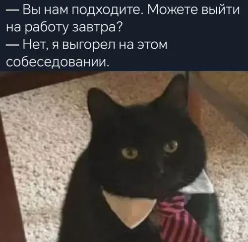 Смешная картинка №785464