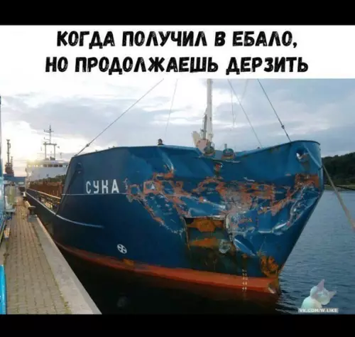 Смешная картинка №386887