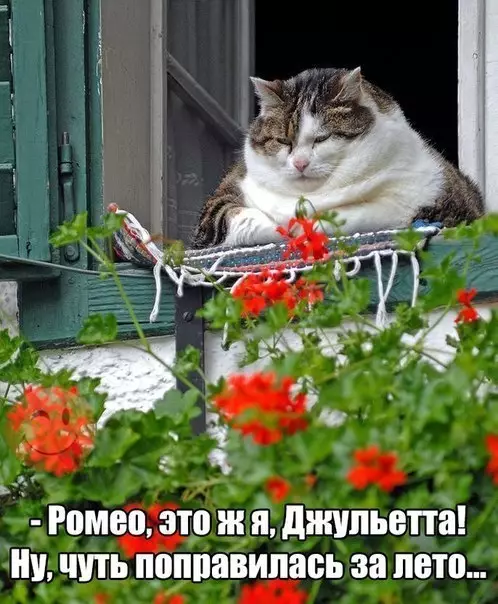 Смешная картинка №189197