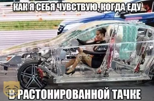 Смешная картинка №362537 #приколы #картинки #мемы ?