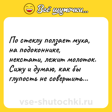 Шутка: По стеклу ползает муха, на подоконнике, некстати, лежит молоток. Сижу и думаю, как бы глупость не совершить...