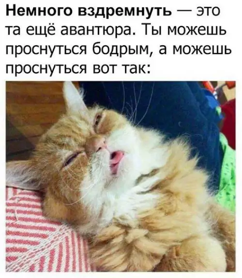 Смешная картинка №391108