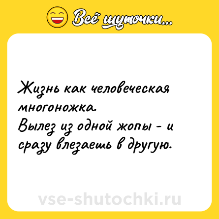 Шутка: Жизнь как человеческая многоножка. <br>Вылез из одной жопы - и сразу влезаешь в другую.