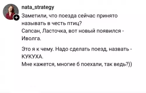 Поезд Кукуха: билет в один конец 🚂🤪 - Заметили, что поезда сейчас принято называть в честь птиц? Сапсан,