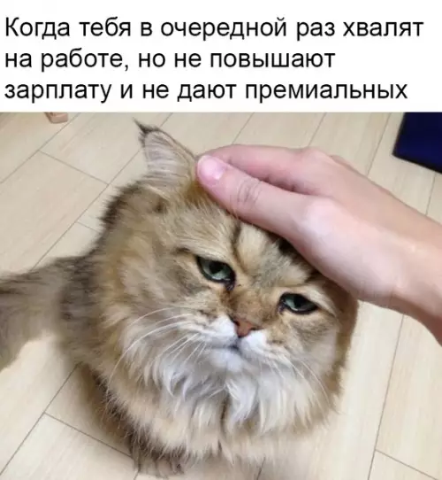 Смешная картинка №335150