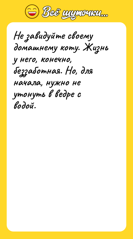 Не завидуйте своему домашнему коту. Жизнь у него, конечно, беззаботная.