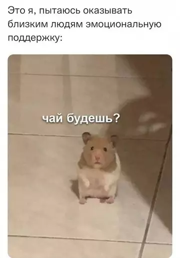 Смешная картинка №733735