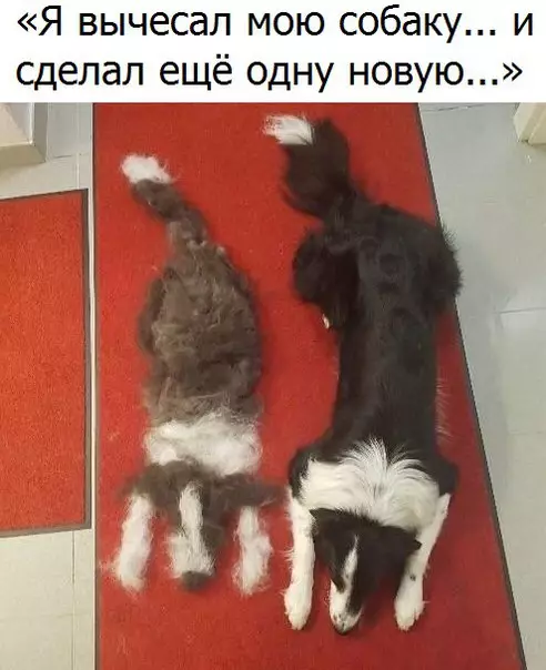 Смешная картинка №193114