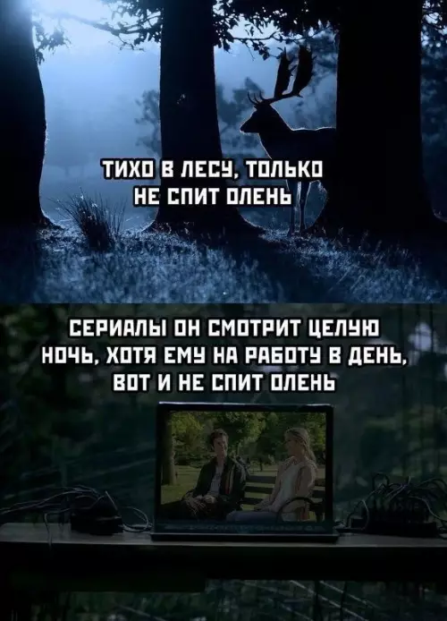 Смешная картинка №696719 Один смех