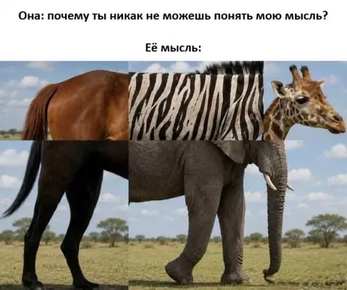 Когда она пытается объяснить че в голове 😂 - Она: почему ты никак не можешь понять мою мысль? Её