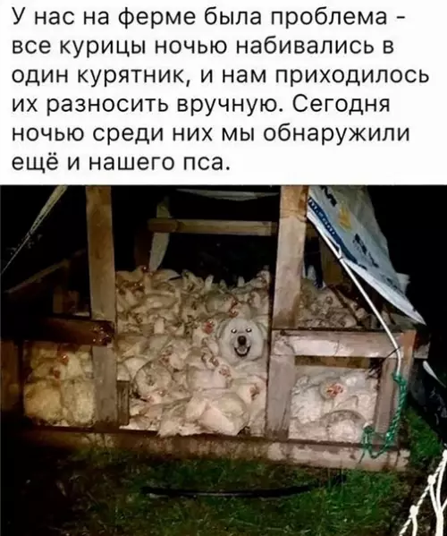 Смешная картинка №509317 Хороший мальчик