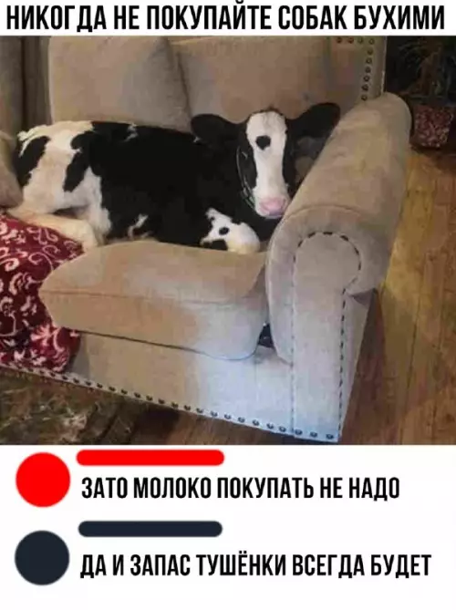 Смешная картинка №675800