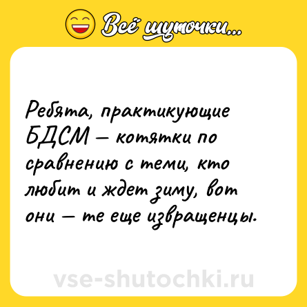 Шутка: Ребята, практикующие БДСМ — котятки по сравнению с теми, кто любит и ждет зиму, вот они — те еще извращенцы.