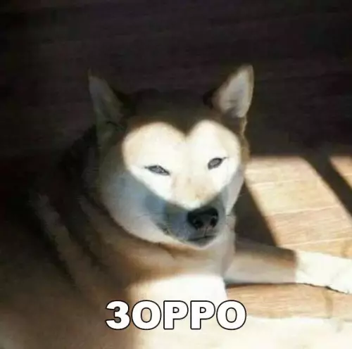 Смешная картинка №248907