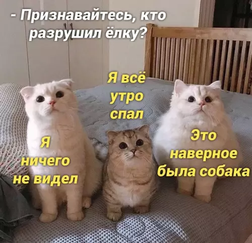 Смешная картинка №668010