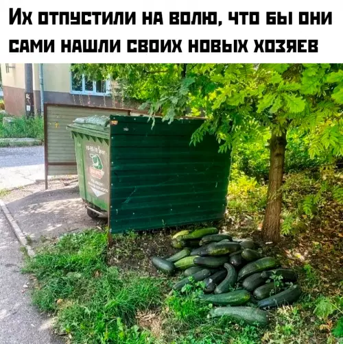Смешная картинка №780595 Дикая природа удивительна