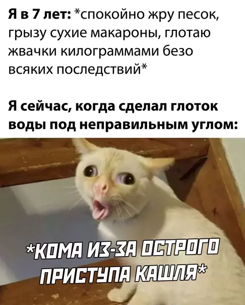 Смешная картинка №543933