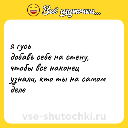 Шутка: я гусь <br>добавь себе на стену, чтобы все наконец узнали, кто ты на самом деле