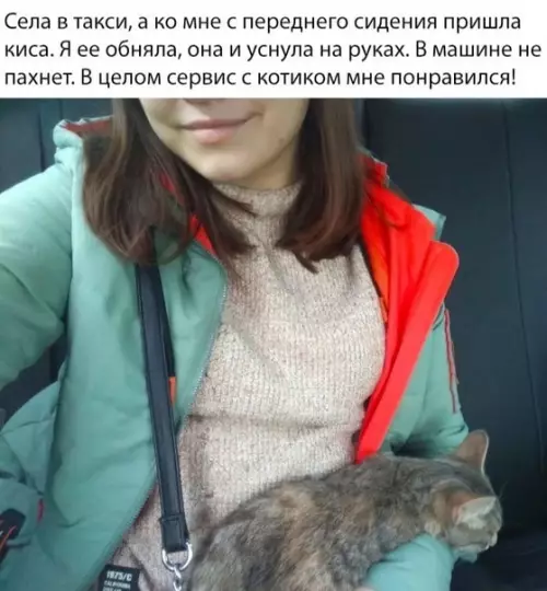 Смешная картинка №489693 Cтавлю 5 звезд