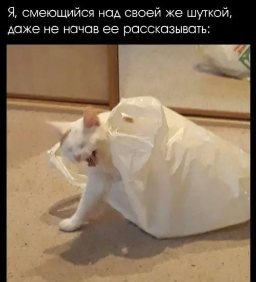 Смешная картинка №748609
