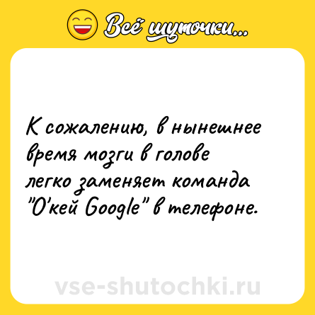 Шутка: К сожалению, в нынешнее время мозги в голове легко заменяет команда 