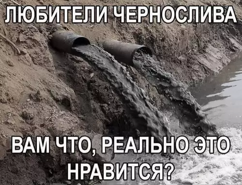 Чернослив по-новому! 🌚💩 - ЛЮБИТЕЛИ ЧЕРНОСЛИВА ВАМ ЧТО, РЕАЛЬНО ЭТО НРАВИТСЯ?