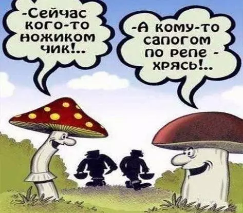Смешная картинка №194865