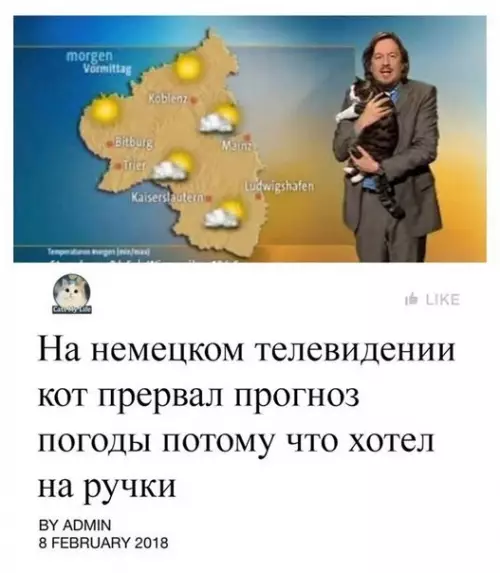 Смешная картинка №248845
