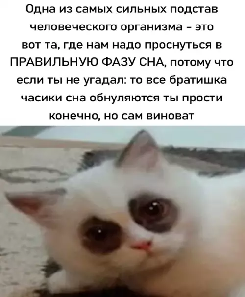Проклятье будильника ⏰💀 - Одна из самых сильных подстав человеческого организма - это вот