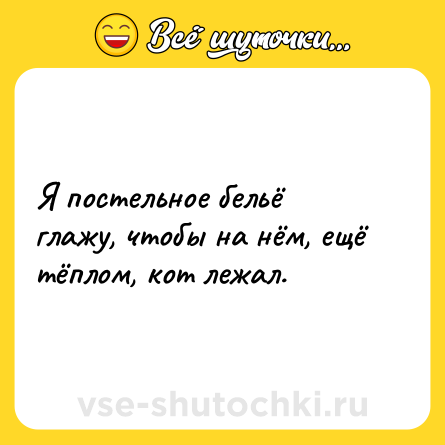 Шутка: Я постельное бельё глажу, чтобы на нём, ещё тёплом, кот лежал.