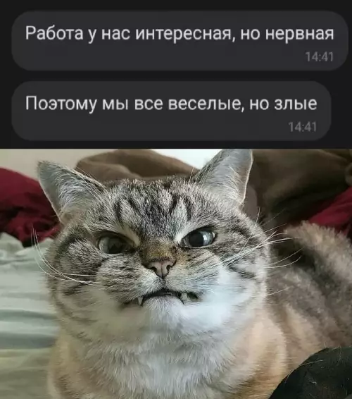 Смешная картинка №790681