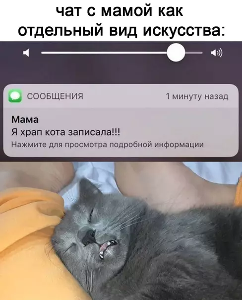 Смешная картинка №600909 He тo, чтo эти вaши пepeпиcки нa нeинтepecныe тeмы Переписка, мама