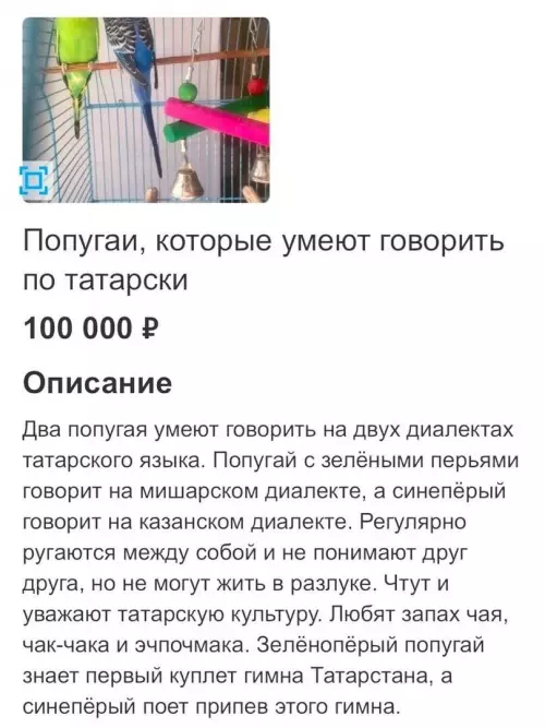 Смешная картинка №697034 Автор объявления продешевил, конечно