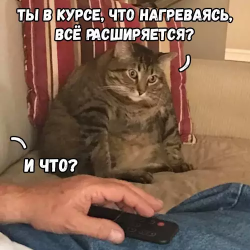 продолжение Смешная картинка №678375