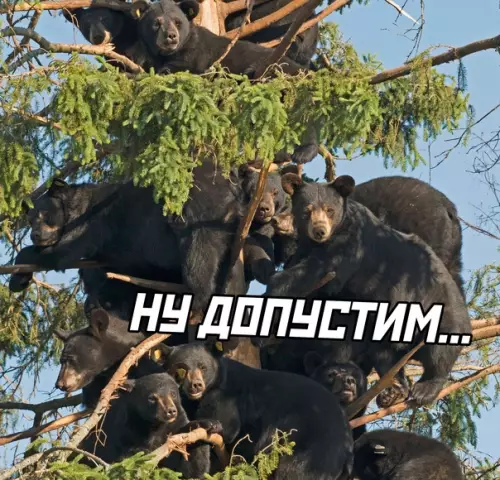 продолжение Смешная картинка №622408