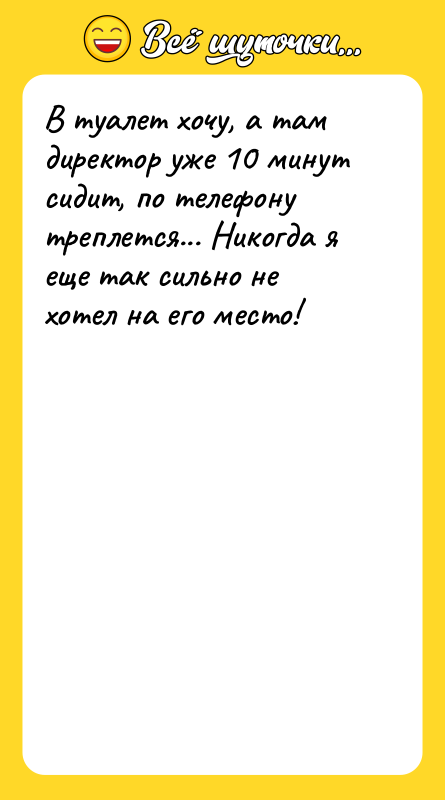 В туалет хочу, а там директор уже 10 минут сидит,