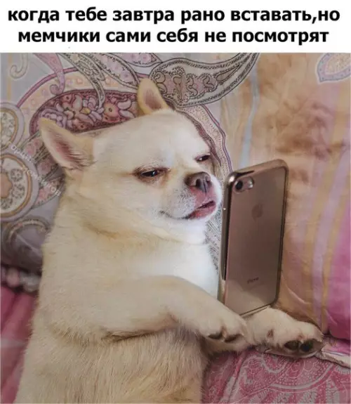 Смешная картинка №210856