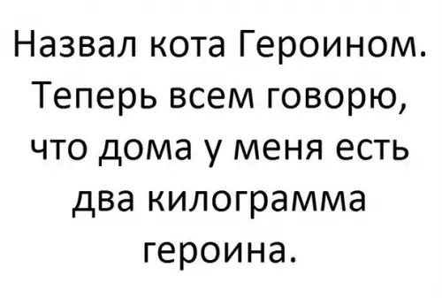 Смешная картинка №204629