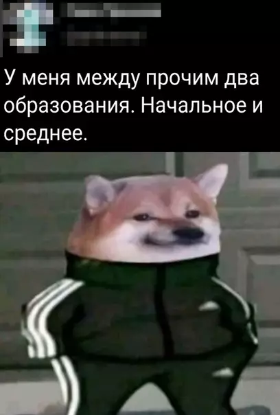 Смешная картинка №602839