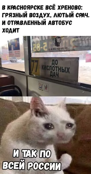 Смешная картинка №333933